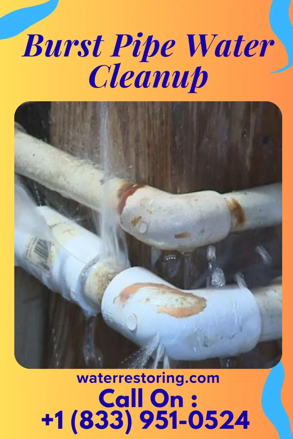 Burst Pipe Water Cleanup in Mayfield Heights, OH