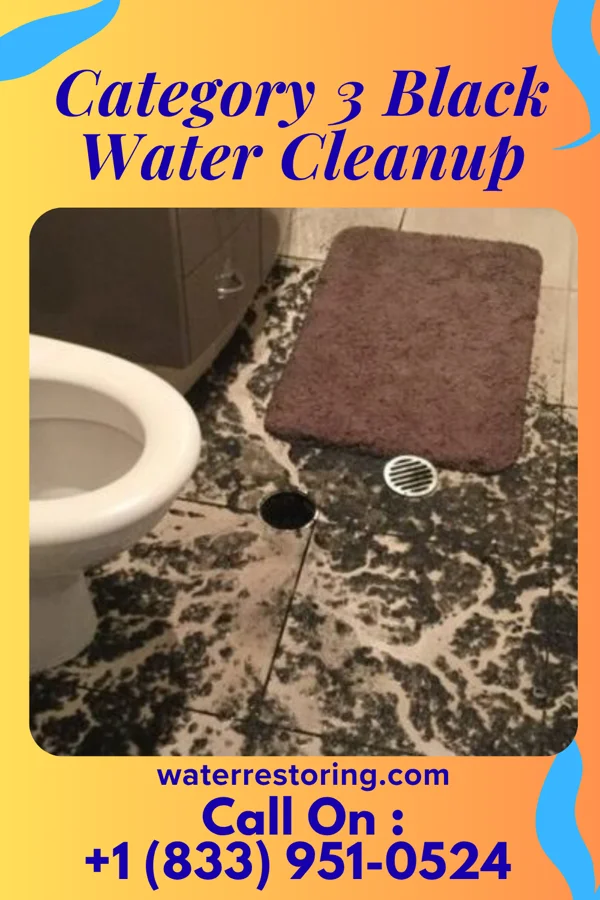 Category 3 Black Water Cleanup in Mayfield Heights, OH