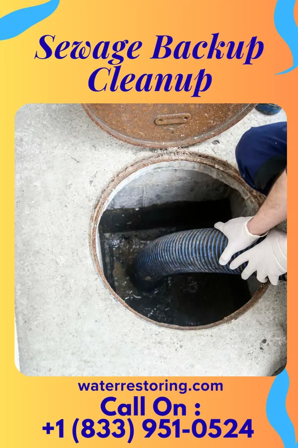 Sewage Backup Cleanup in Mayfield Heights, OH