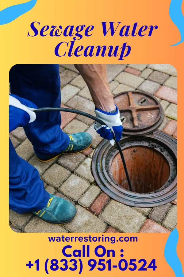 Sewage Water Cleanup in Mayfield Heights, OH